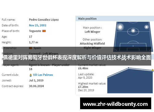 佩德里对阵葡萄牙世俱杯表现深度解析与价值评估技术战术影响全面