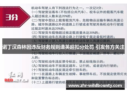 诺丁汉森林因违反财务规则遭英超扣分处罚 引发各方关注